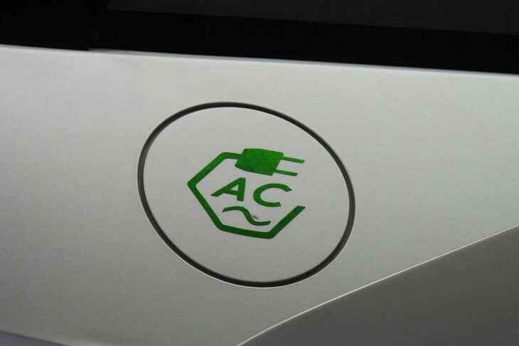 バンディーニ・ドーラ（2020年デビュー）