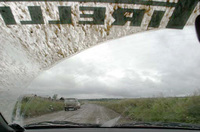 第14回：8月14日「最後のダートか？」の画像