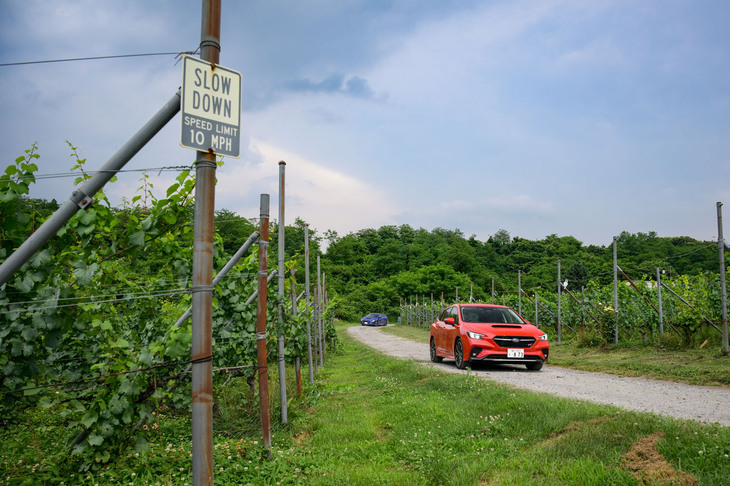 「貝野瀬ビューポイント」に続く2つ目の経由地として紹介される「奥利根ワイナリー」。スタート地点から26kmの距離にある。今回はこちらで少し早めのランチタイムとなった。