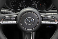 ステアリングホイールはスムースレザーの本革巻き。スポーク部のスイッチパネルに加え、上級グレードではホーンパッドにもプラチナサテンの装飾が施されている。