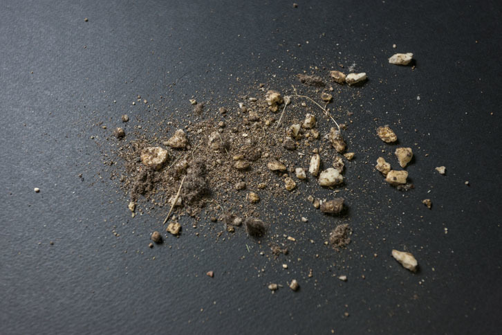 掃除の後のゴミの中身を見ると、食べこぼしや土・砂だけでなく髪の毛やホコリも多くあった。目に見えないゴミも強力な吸引力で吸い上げられるのがうれしい。