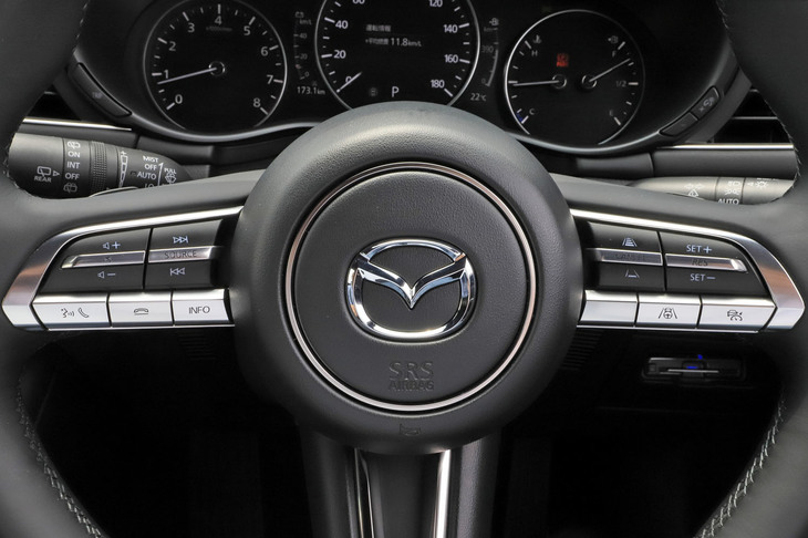 ステアリングホイールはスムースレザーの本革巻き。スポーク部のスイッチパネルに加え、上級グレードではホーンパッドにもプラチナサテンの装飾が施されている。