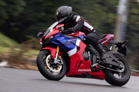 車両骨格には重力金型鋳造製法のアルミ製ダイヤモンドフレームを採用。従来モデルより縦剛性とねじり剛性を高めつつ、横剛性を下げることで、高出力をしっかり受け止めつつハードブレーキングに耐えられる剛性を確保している。