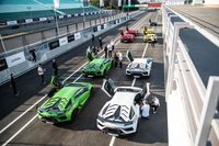 ピットレインに並べられた色とりどりの「アヴェンタドールSVJ」。