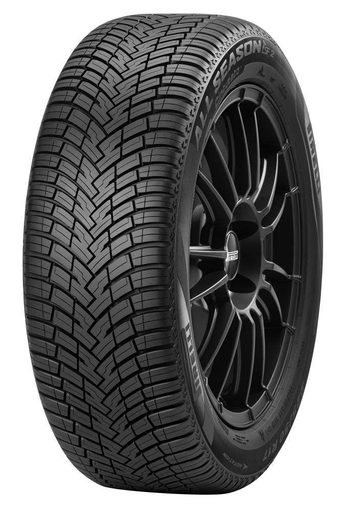 チントゥラート オールシーズンSF2