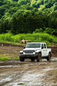 高い走破性や積載性はもちろん、ジープとピックアップトラックを融合した唯一無二のスタイルも「グラディエーター」の魅力。その存在は、荒野はもちろん街なかでも映えるに違いない。