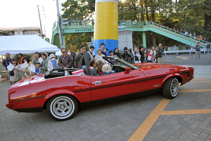 希少な正規輸入車という1973年「フォード・マスタング コンバーチブル」。通称“ビッグ・マスタング”。