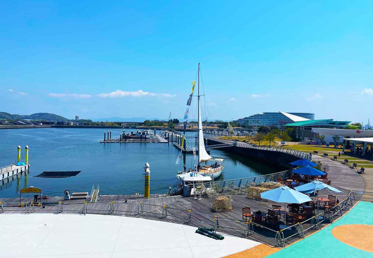 サイバートラック」も展示！ 300台以上のテスラが集った「TOCJ 2024