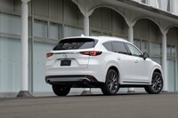 リアのバンパーガーニッシュはボディー同色に。大型のマフラーカッターも装備する。