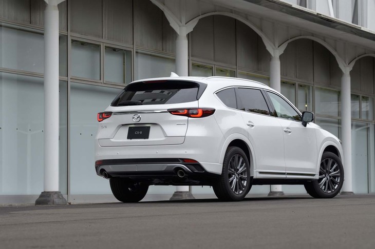 リアのバンパーガーニッシュはボディー同色に。大型のマフラーカッターも装備する。