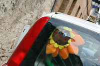 昨年あたりからイタリア人女性ドライバーに流行している「ひまわり」。