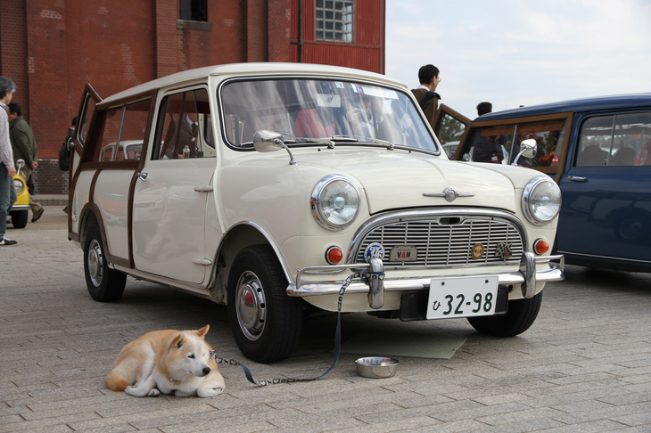 「退屈だなあ……」とでも言いたげなワンちゃん。クルマは「モーリス・ミニ トラベラーMk1」。