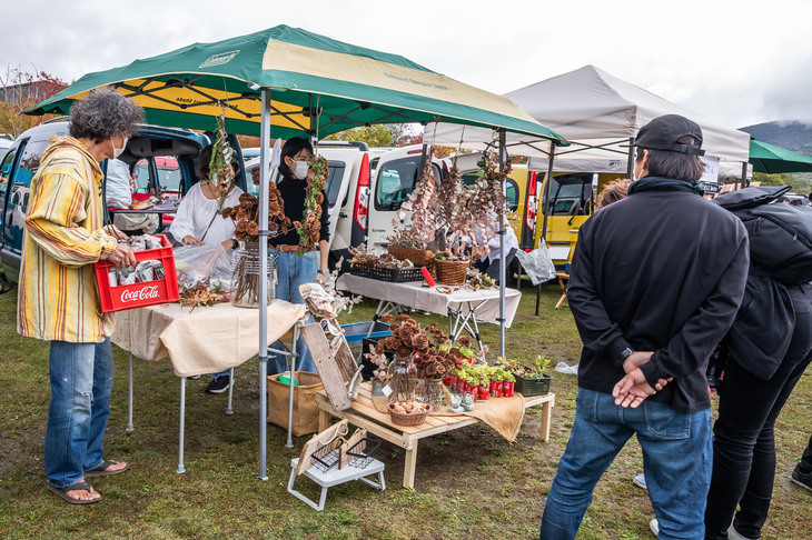 ドライフラワーが並べられたお店。クルマ関連以外のアイテムが充実しているのも「カングー ジャンボリー」のフリーマーケットに見られる傾向だ。