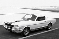 「GT350」はシェルビーがレース用に開発したモデルで、「シボレー・コルベット」や「ジャガーEタイプ」といったスポーツカーを向こうにまわし、SCCAナショナルチャンピオンシップ Bプロダクションで、1965～1967年と3年連続で優勝している。