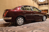 （写真をクリックすると「リューギ」のさらに詳しい写真が見られます）
    