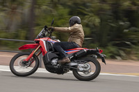 ホンダCRF250ラリー＜s＞（6MT）【レビュー】の画像