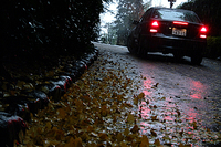 メルセデスベンツ C240 4マチック（5AT）【ブリーフテスト】の画像