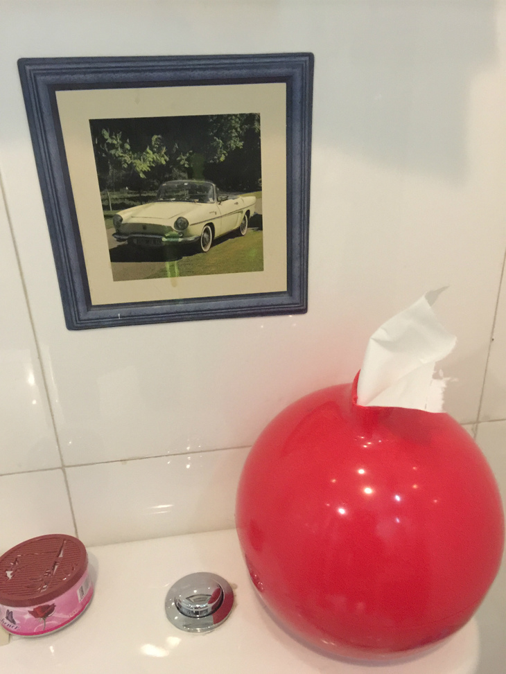 貸しアパートのトイレで、唐突に現れた「ルノー・フロリド」の写真。欧州のヒストリックカー界では比較的“若い部類”に入るモデルだが、上海の人々にとっては、れっきとした古典車なのだろう。