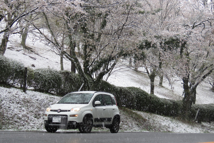 編集部W氏はかつてwebCGの社用車として活躍した「フィアット・パンダ4×4」をお買い上げ。イタリア車のいいところも悪いところもたっぷりと詰まっている。