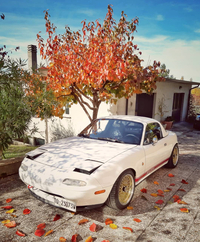 秋の陽だまりのなか、うとうとしているようにも見えてくるから不思議だ。