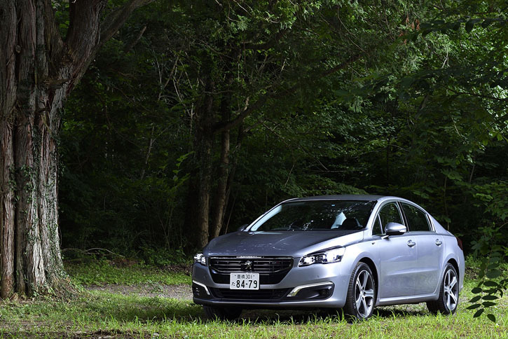 テスト車のボディーカラーはメタリックカラーの「アルタンス・グレー」。