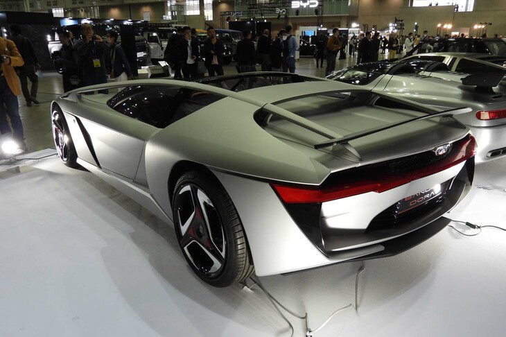 バンディーニ・ドーラ（2020年デビュー）