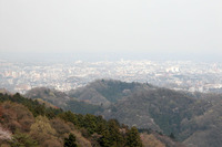 第92回：“奇跡の山”、高尾山に迫る危機その4：小さな山に異なる植物分布（矢貫隆）の画像