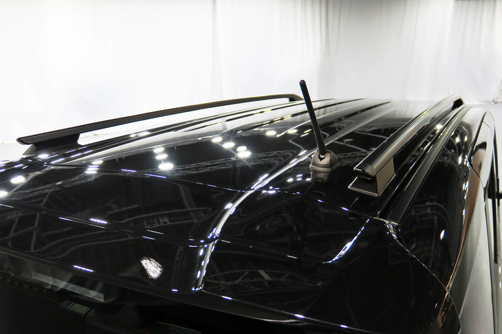 三菱デリカミニTプレミアム（ルーフレール）