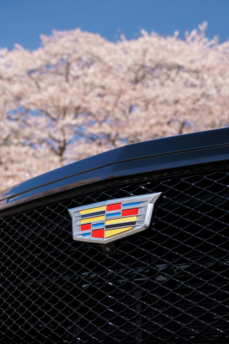 ドイツ御三家ほどの販売台数ではないとはいえ、キャデラックの製品を求める顧客が、今も日本にいるのは事実だ。これほどのラインナップを導入してくれるインポーターの頑張りに感謝である。