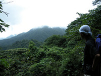 第63回：枯れゆくブナの山、檜洞丸（その12）（矢貫隆）