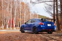 
	「スバルWRX STI」をベースに、STIが独自のチューニングを加えたコンプリートカー「S207」。2015年10月29日に予約受け付けが開始され、同年12月1日に発売された。
	