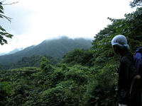 丹沢のブナを枯らしているのは酸性霧やオゾンだという。しかし、それら原因物質の元を辿れば、我々が日々享受している、自動車物流を中心とした便利さに行き着くのだ。