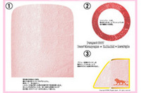 桜色の和紙をインテリアに「プジョー 1007デザインコンテスト」グランプリ発表