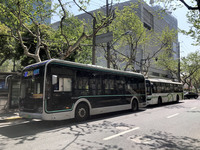 宇通製の新型電動バス（写真左）と、従来型バス（同右）。