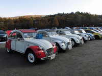 フレンチブルーミーティングの会場に並んだ「シトロエン2CV」。写真は30回目の節目となった2016年のイベントでの光景。