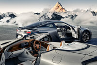 「LC500コンバーチブル“ピナクル”」（写真手前）と「LC500“ピナクル”」（同奥）。