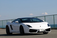 （写真＝峰昌宏）