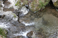 裏高尾にでた。東京とは思えない清流。