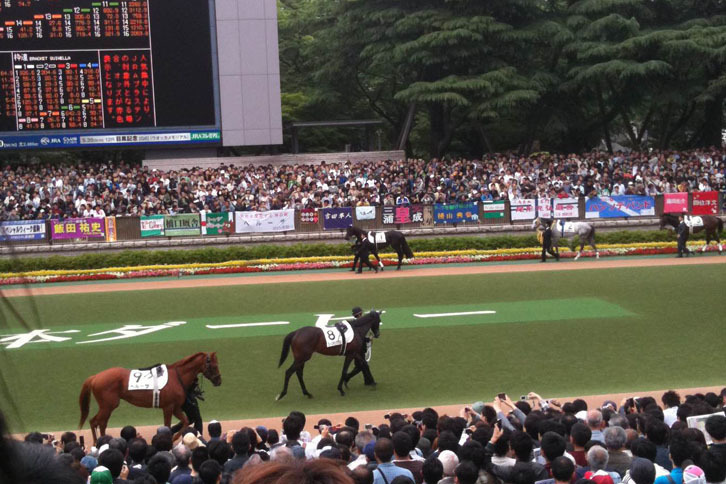 スマートフォンに保存されていた最新の競馬関係の写真は、エイシンフラッシュが勝った2010年の日本ダービーでした。意外と写真って残していないものですね。写真を見ていたら、ひどいスローペースで、どうしようもないレースだったことを思い出しました……。