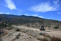 ロイヤルエンフィールド・ベア650（6MT）【海外試乗記】の画像