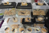 コーナーストーンズではクワガタも飼育。クワガタは少年および少年のココロを持つオトナ（スーパーカー好き）のため。