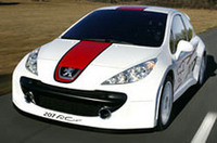「プジョー207RCup」