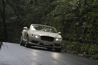 ボディーカラーは全17色。試乗車は「オールド・イングリッシュ・ホワイト」（オプションペイント：74万4500円）に塗られていた。