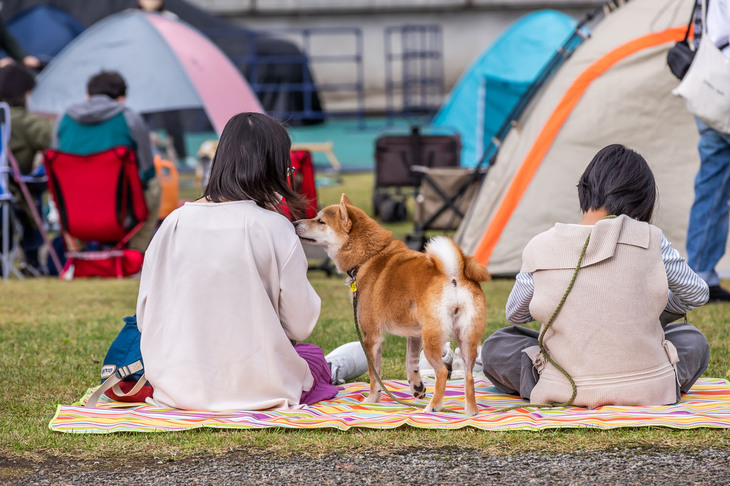 欧州車のなかでも「カングー」は特に愛犬家のオーナーが多いそう。会場のあちこちで愛犬とともに、ゆったりと過ごす姿が見受けられた。