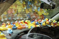 【写真B】町内会のシンボル「ガチョウ」にかけて、アヒルのマスコットを勢ぞろいさせた「フィアット・ドブロ」。2022年10月撮影。