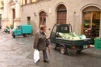 雨の日も、風の日も。ご主人を待つアペ。（写真6）