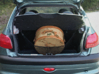 上の写真をクリックすると、GIFアニメが見られます。