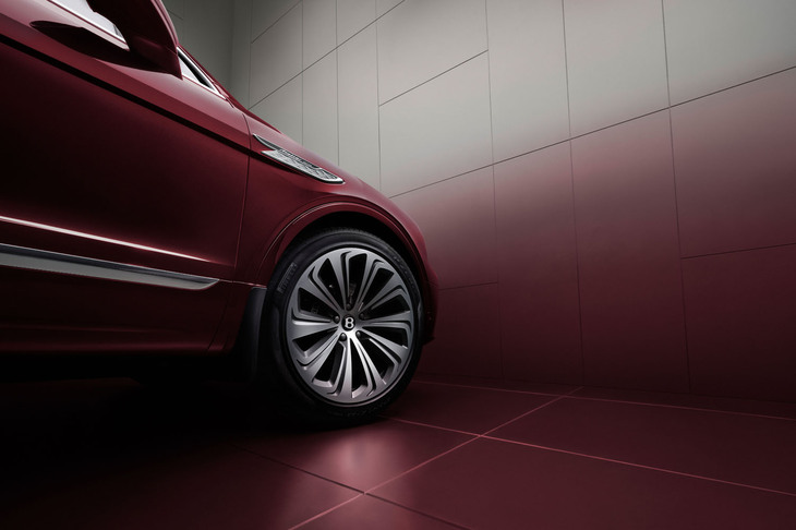 ルビーノ×グラビティグレー＆クリケットボール