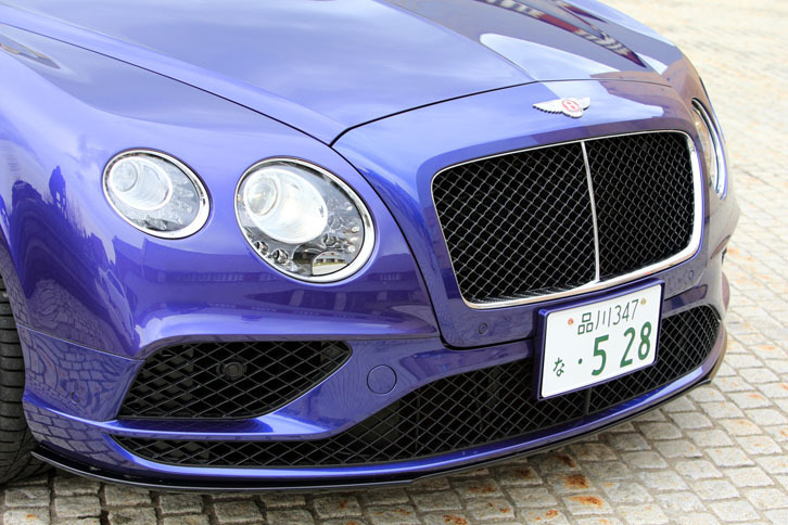 最新デザインのロワグリルが与えられたフロントまわり。テスト車には、オプションの「ダークティントフロントランプ」が装着されている。