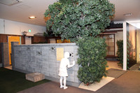 周囲にはブロック塀もあり、穴から中を覗きこむと……。